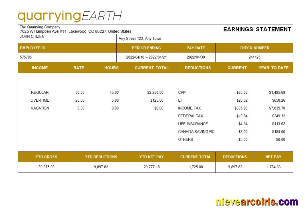 quarrying company fully editable paystub